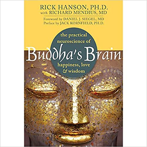 buddha’s brain book