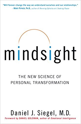 mindsight book