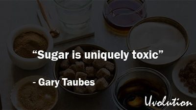 The Case Against Sugar Book Summary